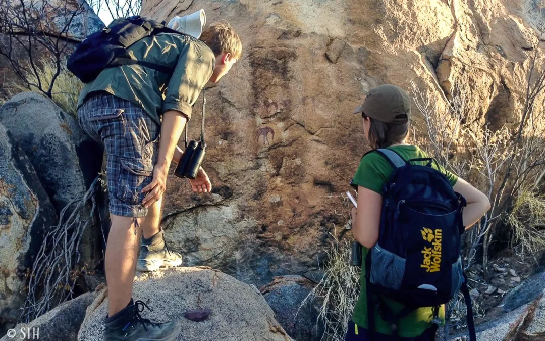 Hommage an die Tierwelt