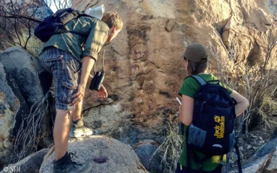 Hommage an die Tierwelt